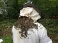apiculteur-sous-les-abeilels