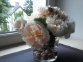 roses-anciennes