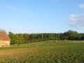 20140503_200519_Android