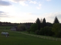 20140503_202140
