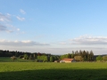DSC04541