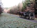 20210110_141434_Moment