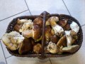 cepes