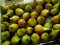 figues
