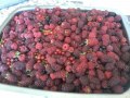 fruits-rouges