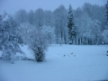 2-jours-plus-tard-changement-de-temps