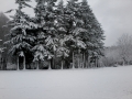 hiver2016-0014