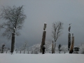 hiver2016-0016
